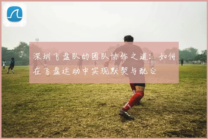 深圳飞盘队的团队协作之道：如何在飞盘运动中实现默契与配合