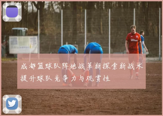 成都篮球队阵地战革新探索新战术提升球队竞争力与观赏性