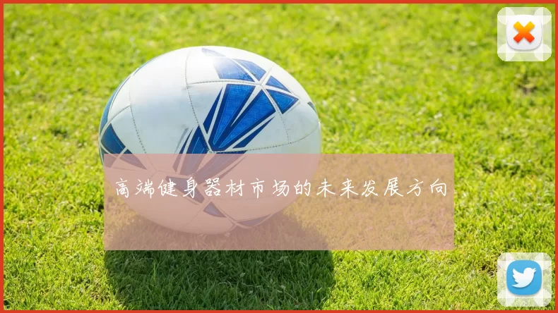 高端健身器材市场的未来发展方向