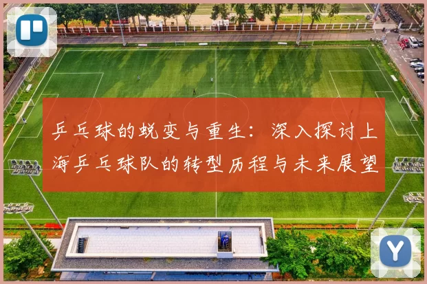乒乓球的蜕变与重生：深入探讨上海乒乓球队的转型历程与未来展望