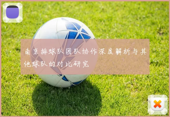 南京排球队团队协作深度解析与其他球队的对比研究