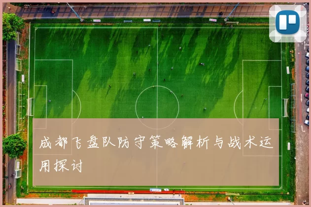 成都飞盘队防守策略解析与战术运用探讨