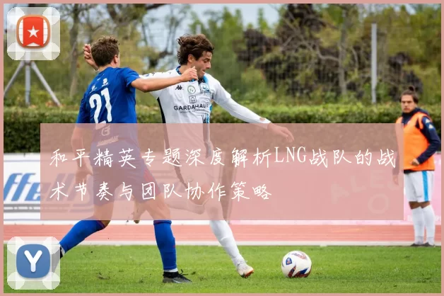 和平精英专题深度解析LNG战队的战术节奏与团队协作策略