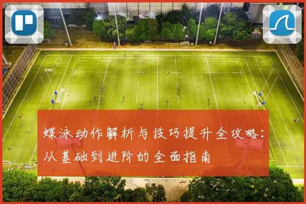 蝶泳动作解析与技巧提升全攻略：从基础到进阶的全面指南