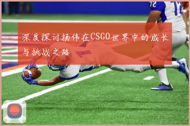 深度探讨杨伟在CSGO世界中的成长与挑战之路