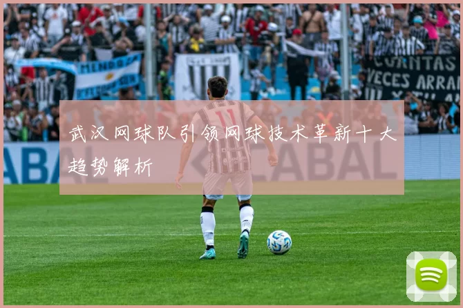 武汉网球队引领网球技术革新十大趋势解析