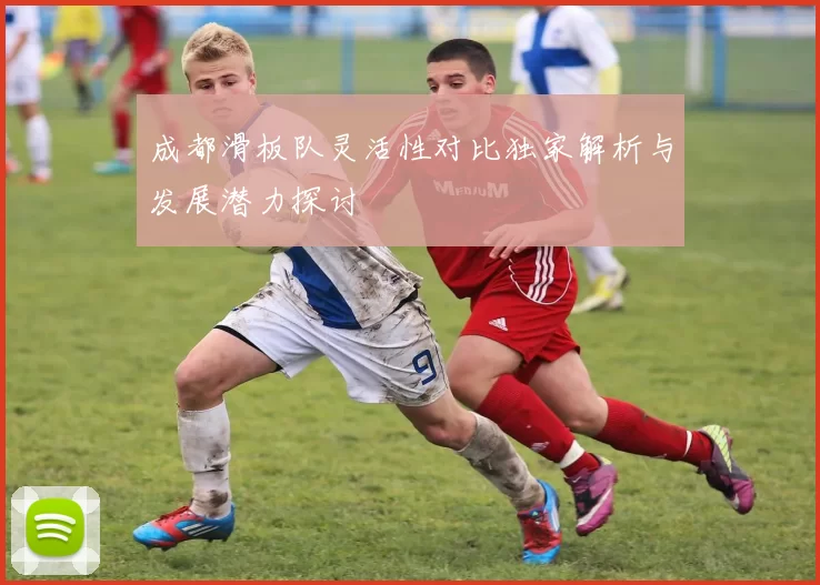成都滑板队灵活性对比独家解析与发展潜力探讨