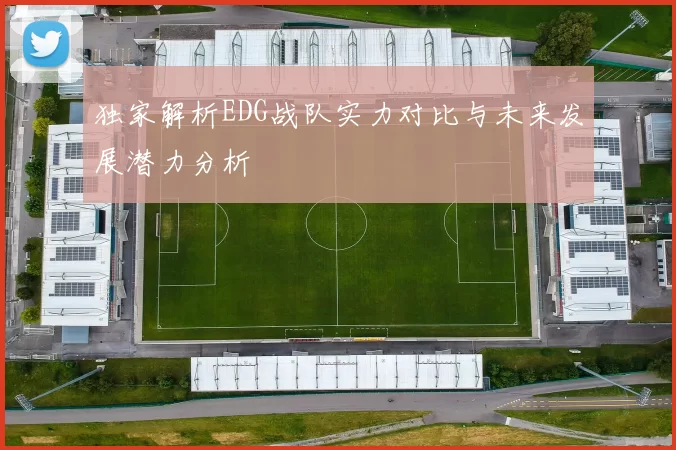 独家解析EDG战队实力对比与未来发展潜力分析