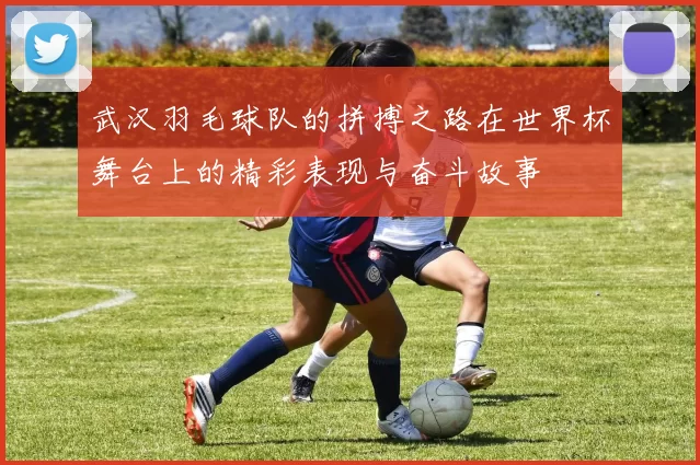 武汉羽毛球队的拼搏之路在世界杯舞台上的精彩表现与奋斗故事