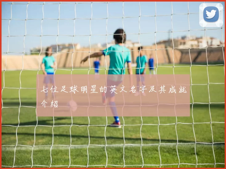 七位足球明星的英文名字及其成就介绍