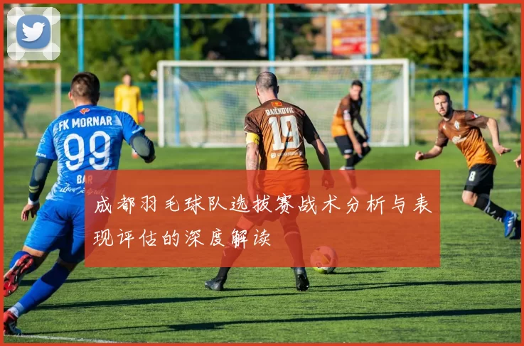 成都羽毛球队选拔赛战术分析与表现评估的深度解读