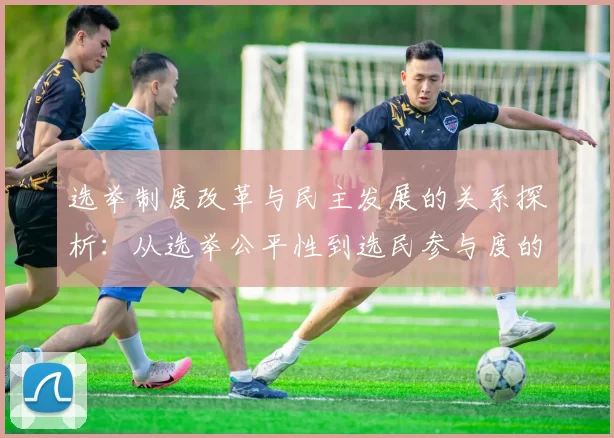 选举制度改革与民主发展的关系探析：从选举公平性到选民参与度的全面考量