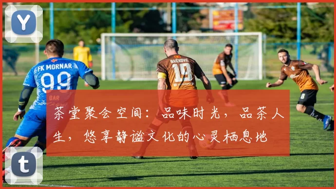 茶堂聚会空间：品味时光，品茶人生，悠享静谧文化的心灵栖息地
