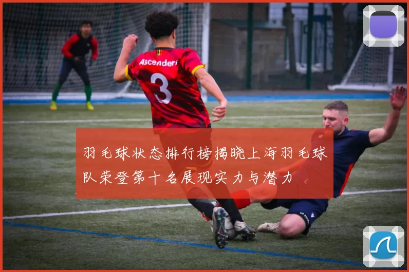 羽毛球状态排行榜揭晓上海羽毛球队荣登第十名展现实力与潜力