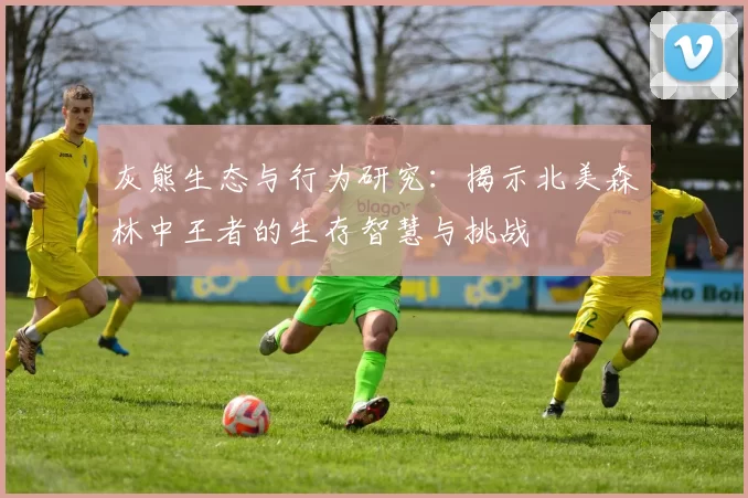 灰熊生态与行为研究：揭示北美森林中王者的生存智慧与挑战