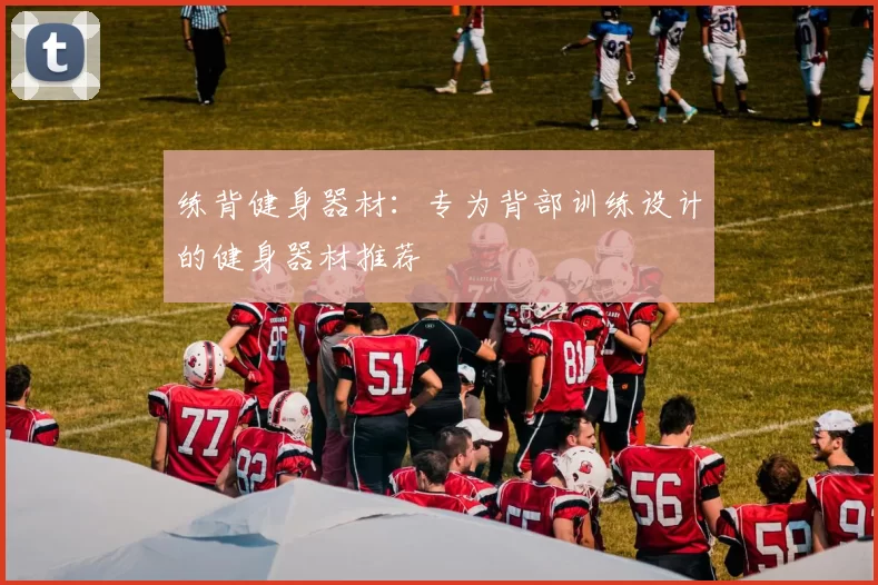 练背健身器材：专为背部训练设计的健身器材推荐