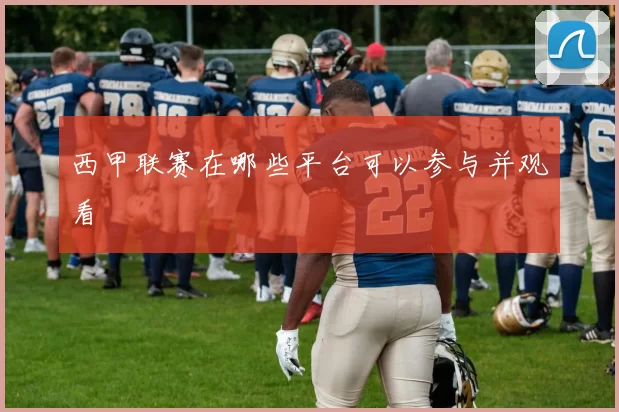 西甲联赛在哪些平台可以参与并观看