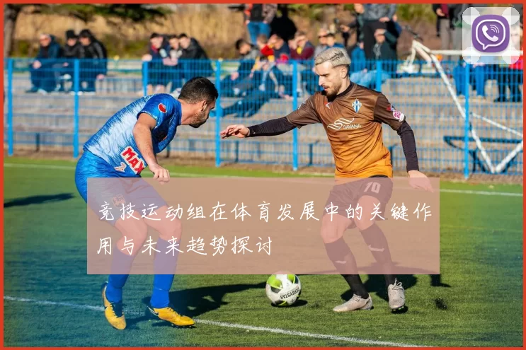 竞技运动组在体育发展中的关键作用与未来趋势探讨