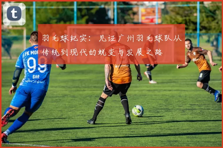 羽毛球纪实：见证广州羽毛球队从传统到现代的蜕变与发展之路