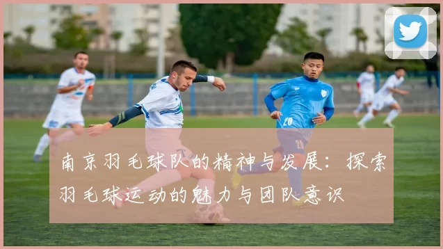 南京羽毛球队的精神与发展：探索羽毛球运动的魅力与团队意识