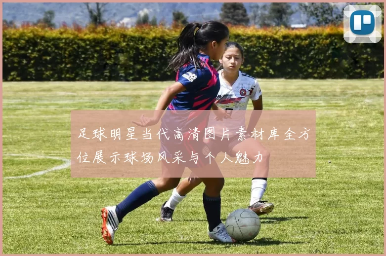 足球明星当代高清图片素材库全方位展示球场风采与个人魅力